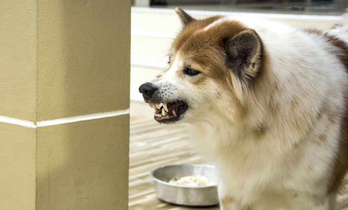 Resource Guarding: What is it and what to do about it.